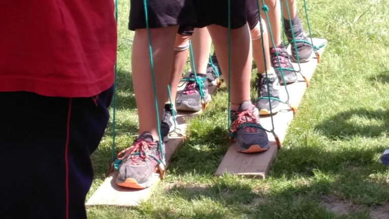 Fem equip: cohesió i cooperació